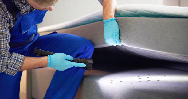 Best Bed Bug Extermination  in Greenbriar, FL