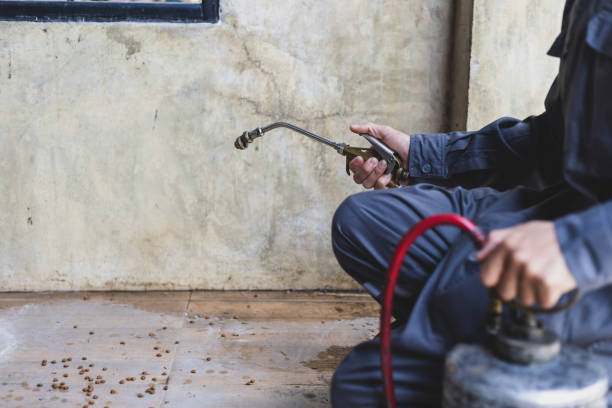 Pest Prevention Services in Greenbriar, FL